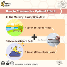 Load image into Gallery viewer, The Brain Health (Elderly) Package