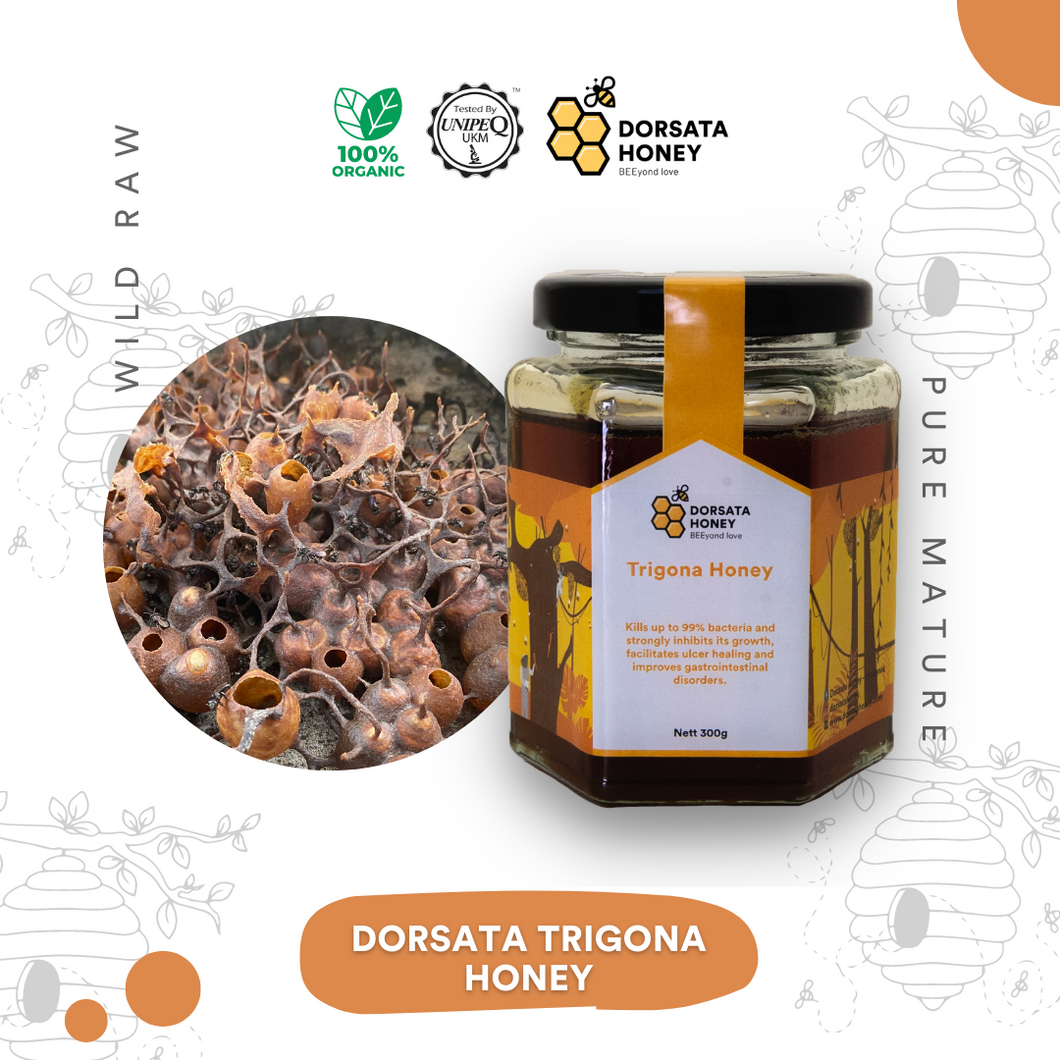 Dorsata Trigona Honey 300g