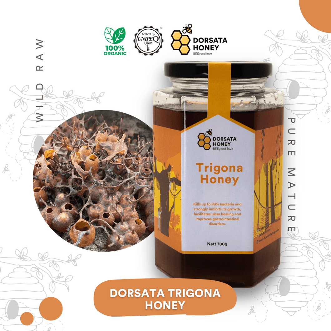 Dorsata Trigona Honey - Dorsata Honey